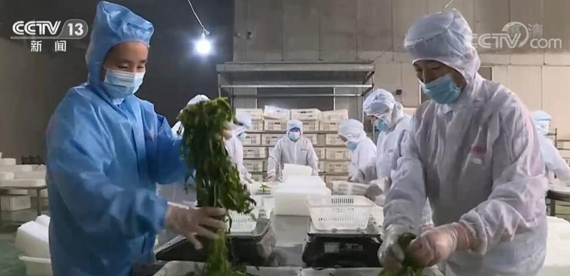 
北医六院黄牛代挂号电话票贩子号贩子网上预约挂号,住院检查加快,数字化 智能化！多地发挥供销优势 构建农产品城乡流通体系