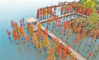 
北医六院黄牛代挂号电话票贩子号贩子网上预约挂号,住院检查加快,保护湿地 绿色发展