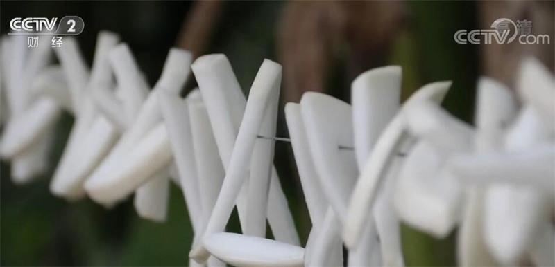 
南京市第一医院黄牛代挂号电话票贩子号贩子网上预约挂号,住院检查加快,“小雪”到腌菜忙 冬季进补选“跑山羊”