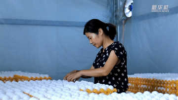 
广州各大医院黄牛代挂号电话票贩子号贩子网上预约挂号,住院检查加快,新华全媒+｜山东巨野：细分市场 鸡蛋做成十亿级产业