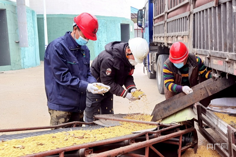 
中山大学附属第一医院黄牛代挂号电话票贩子号贩子网上预约挂号,住院检查加快,新农艺绘丰收|内蒙古阿荣旗：良种良法多打粮