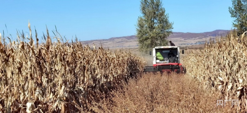 
中山大学附属第一医院黄牛代挂号电话票贩子号贩子网上预约挂号,住院检查加快,新农艺绘丰收|内蒙古阿荣旗：良种良法多打粮