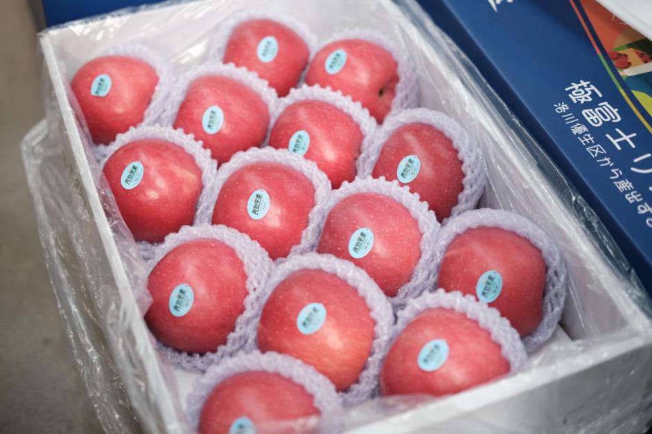 
浙江第二医院黄牛代挂号电话票贩子号贩子网上预约挂号,住院检查加快,习近平牵挂的“小苹果” 挑起农业现代化“金扁担”