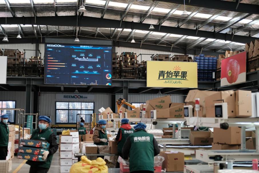 
浙江第二医院黄牛代挂号电话票贩子号贩子网上预约挂号,住院检查加快,习近平牵挂的“小苹果” 挑起农业现代化“金扁担”