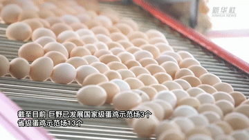 
广州各大医院黄牛代挂号电话票贩子号贩子网上预约挂号,住院检查加快,新华全媒+｜山东巨野：细分市场 鸡蛋做成十亿级产业