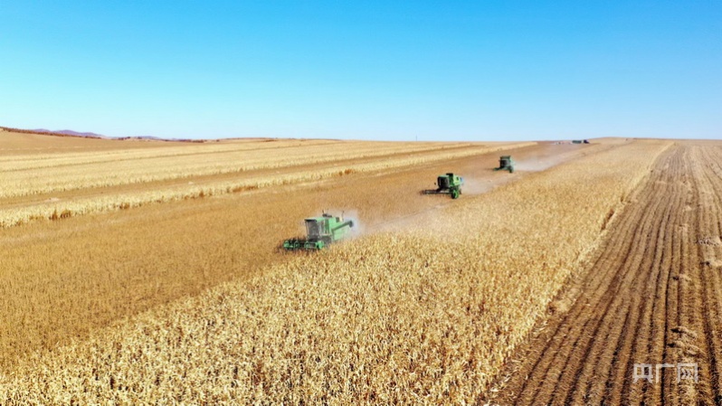 
中山大学附属第一医院黄牛代挂号电话票贩子号贩子网上预约挂号,住院检查加快,新农艺绘丰收|内蒙古阿荣旗：良种良法多打粮
