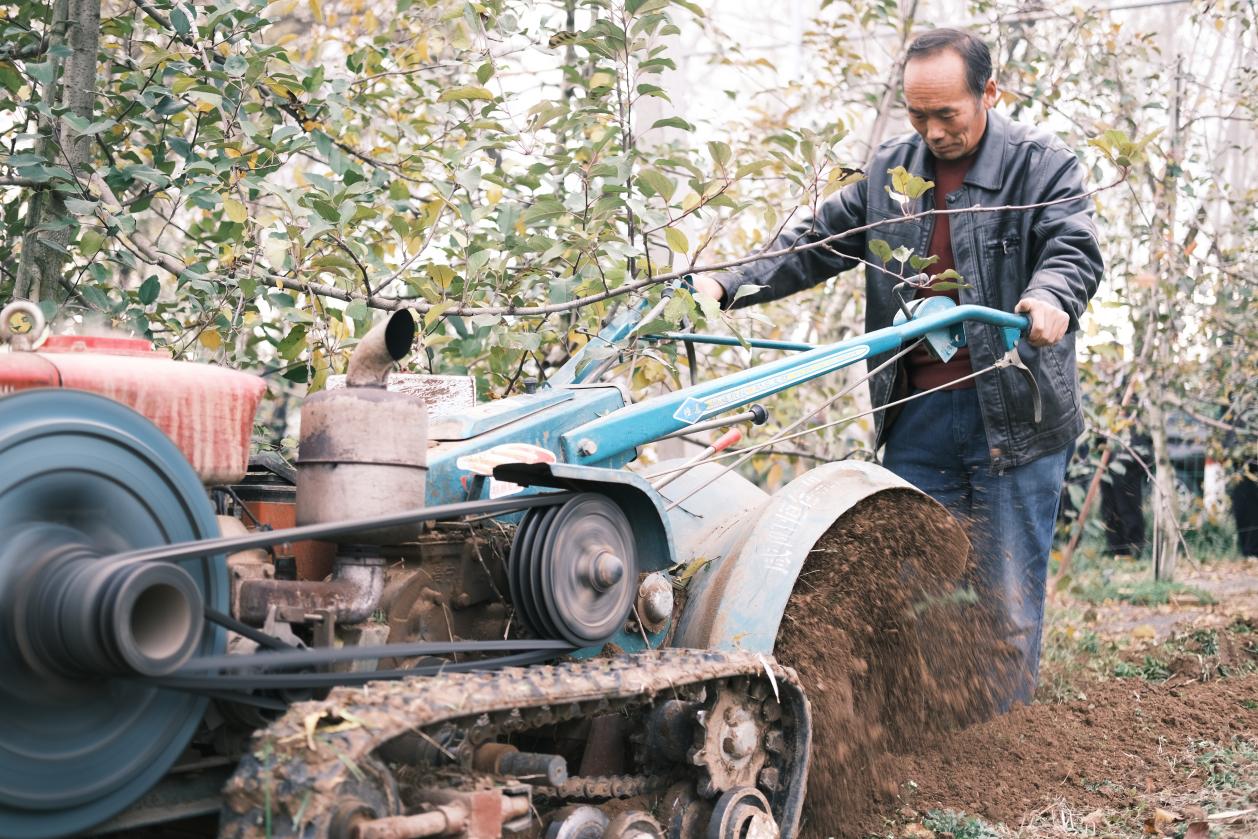 
浙江第二医院黄牛代挂号电话票贩子号贩子网上预约挂号,住院检查加快,习近平牵挂的“小苹果” 挑起农业现代化“金扁担”
