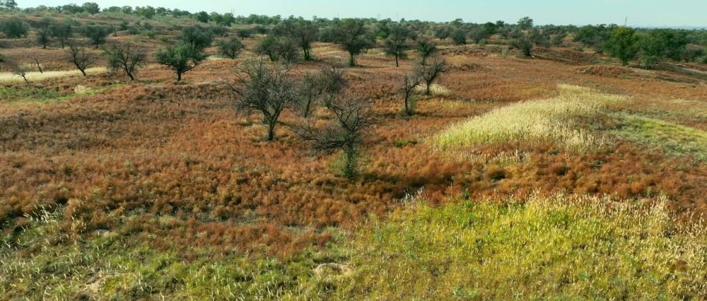 
北京积水潭医院黄牛代挂号电话票贩子号贩子网上预约挂号,住院检查加快,新华空间音频｜从较量到共生，八步沙听见绿色奇迹