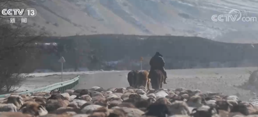 
北京302医院黄牛代挂号电话票贩子号贩子网上预约挂号,住院检查加快,新疆伊犁冬季转场开启 相关部门多措并举助力冬季牧业生产平稳有序