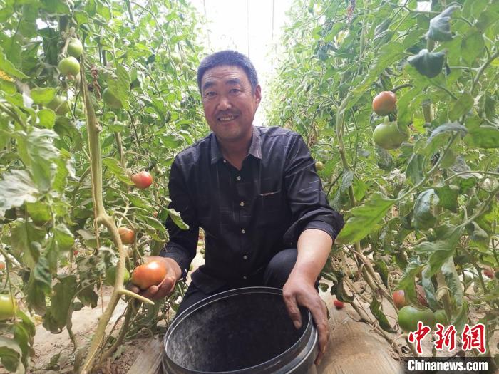 
北医六院黄牛代挂号电话票贩子号贩子网上预约挂号,住院检查加快,甘肃白银：打造现代农业新样板 “农”墨重彩促产业集群