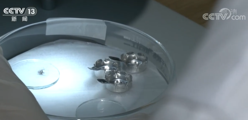 
北京西苑医院黄牛代挂号电话票贩子号贩子网上预约挂号,住院检查加快,嫦娥五号月壤研究取得新进展 首次发现撞击成因的亚微米级磁铁矿