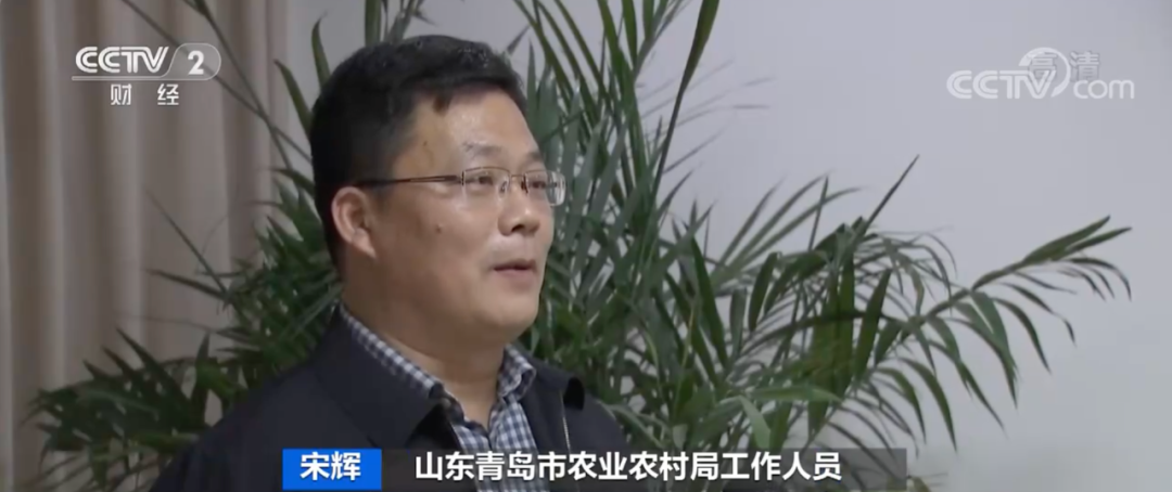 
北京阜外医院黄牛代挂号电话票贩子号贩子网上预约挂号,住院检查加快,青岛泡菜，在韩国卖爆了！或将占韩国年需求量一半！为啥这么香？