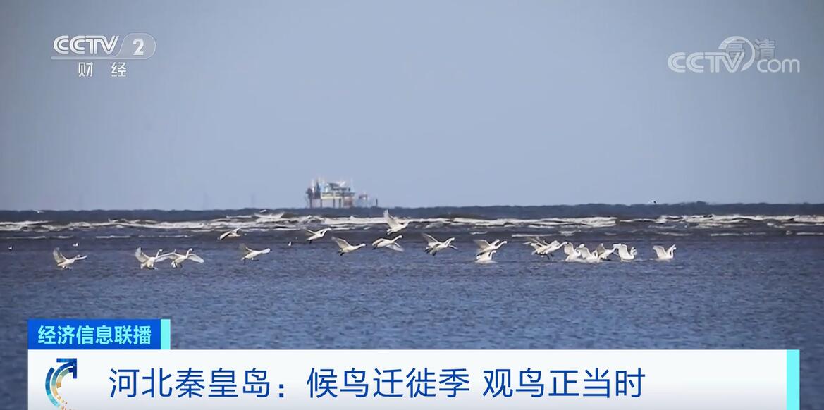 
北京大学第三医院黄牛代挂号电话票贩子号贩子网上预约挂号,住院检查加快,各地加强湿地保护 鹤舞鸟鸣描绘美丽生态画卷