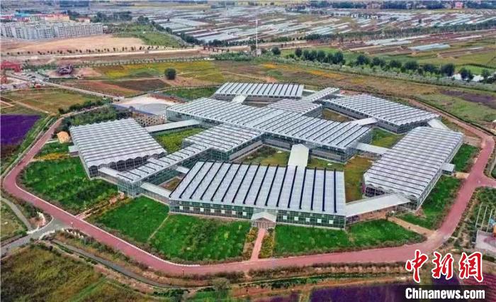 
北医六院黄牛代挂号电话票贩子号贩子网上预约挂号,住院检查加快,甘肃白银：打造现代农业新样板 “农”墨重彩促产业集群