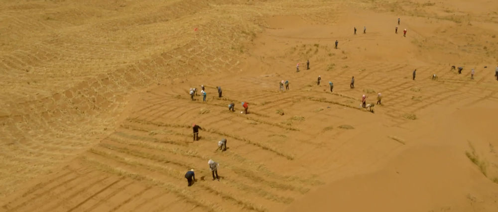 
北京积水潭医院黄牛代挂号电话票贩子号贩子网上预约挂号,住院检查加快,新华空间音频｜从较量到共生，八步沙听见绿色奇迹
