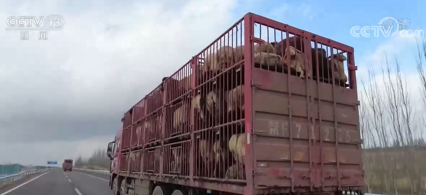 
北京302医院黄牛代挂号电话票贩子号贩子网上预约挂号,住院检查加快,新疆伊犁冬季转场开启 相关部门多措并举助力冬季牧业生产平稳有序