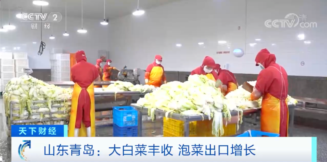 
北京阜外医院黄牛代挂号电话票贩子号贩子网上预约挂号,住院检查加快,青岛泡菜，在韩国卖爆了！或将占韩国年需求量一半！为啥这么香？