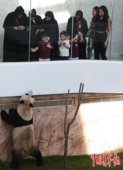 
杭州市妇幼保健院黄牛代挂号电话票贩子号贩子网上预约挂号,住院检查加快,世界杯“大餐”里的中国味道