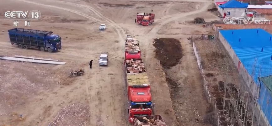 
北京302医院黄牛代挂号电话票贩子号贩子网上预约挂号,住院检查加快,新疆伊犁冬季转场开启 相关部门多措并举助力冬季牧业生产平稳有序