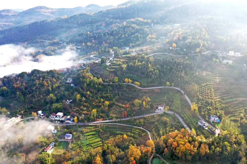 
浙江省同德医院黄牛代挂号电话票贩子号贩子网上预约挂号,住院检查加快,美丽乡村路 助力乡村兴