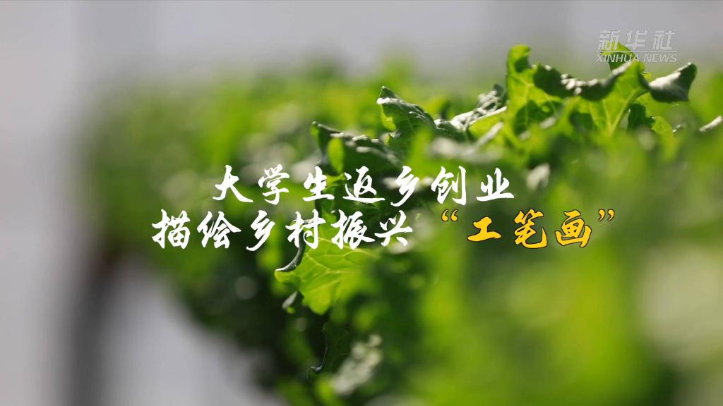 
杭州市妇幼保健院黄牛代挂号电话票贩子号贩子网上预约挂号,住院检查加快,我的创业故事丨大学生返乡创业 描绘乡村振兴“工笔画”