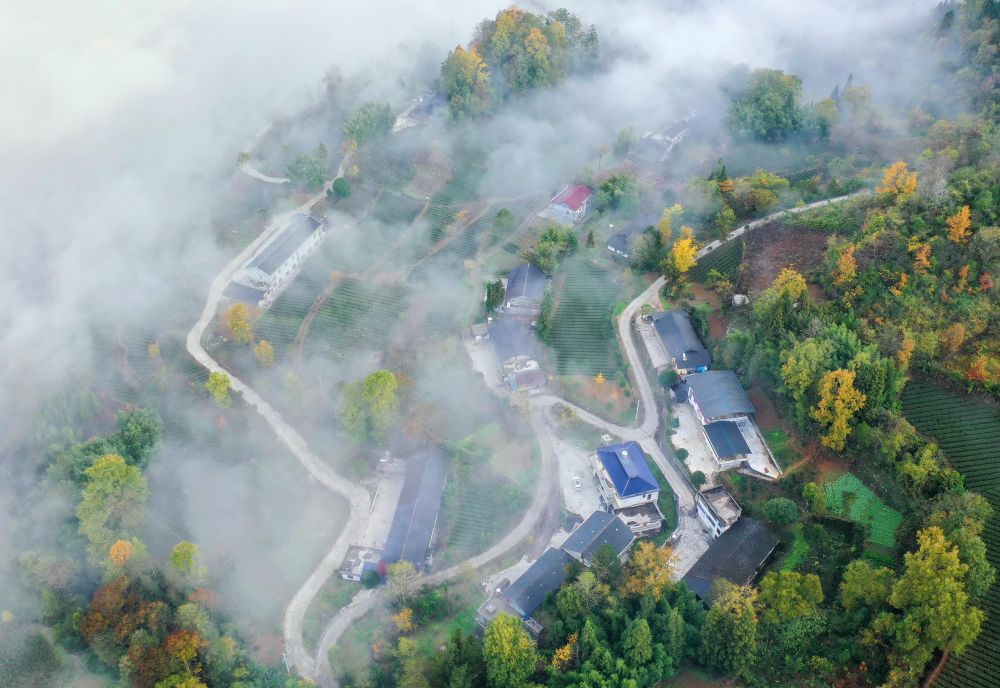 
浙江省同德医院黄牛代挂号电话票贩子号贩子网上预约挂号,住院检查加快,美丽乡村路 助力乡村兴