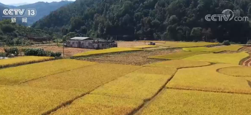 
长春吉大一院黄牛代挂号电话票贩子号贩子网上预约挂号,住院检查加快,我国粮食生产进展顺利 全国秋粮收获超过98%