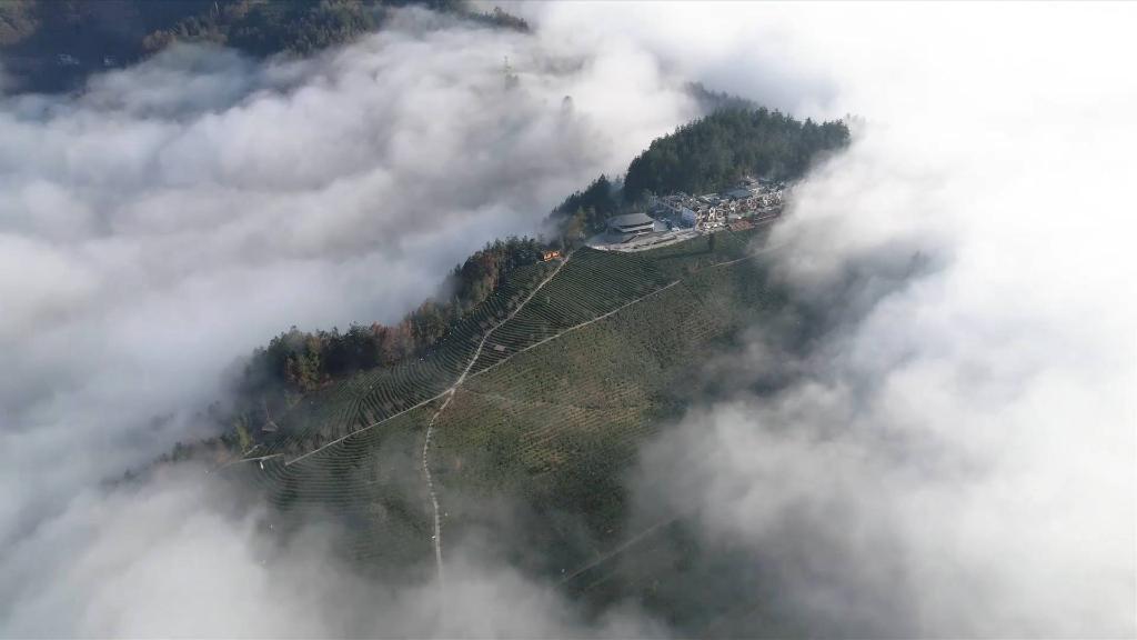 
中国中医科学院眼科医院黄牛代挂号电话票贩子号贩子网上预约挂号,住院检查加快,新华全媒+｜秦巴山区脱贫群众端牢就业“饭碗”