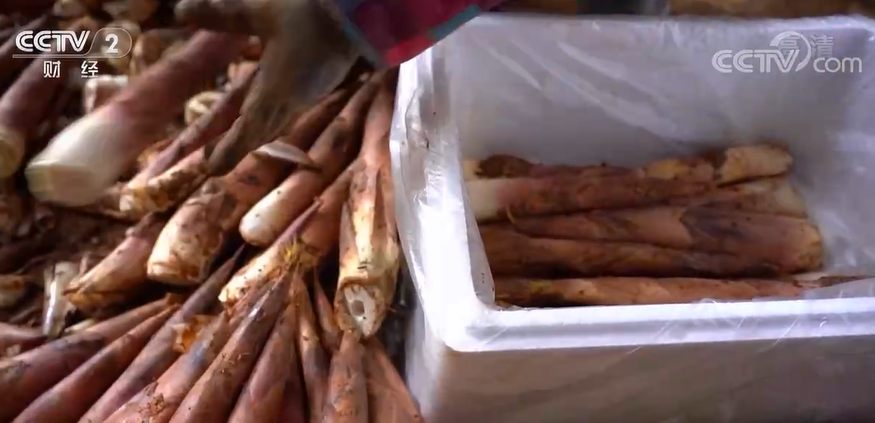 
北京阜外医院黄牛代挂号电话票贩子号贩子网上预约挂号,住院检查加快,雨水到 笋尖冒 江西上饶竹笋产业助民增收