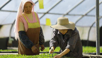 
杭州市妇幼保健院黄牛代挂号电话票贩子号贩子网上预约挂号,住院检查加快,我的创业故事丨大学生返乡创业 描绘乡村振兴“工笔画”