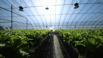 
杭州市妇幼保健院黄牛代挂号电话票贩子号贩子网上预约挂号,住院检查加快,我的创业故事丨大学生返乡创业 描绘乡村振兴“工笔画”