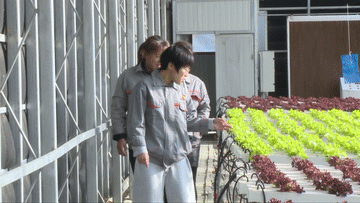 
杭州市妇幼保健院黄牛代挂号电话票贩子号贩子网上预约挂号,住院检查加快,我的创业故事丨大学生返乡创业 描绘乡村振兴“工笔画”