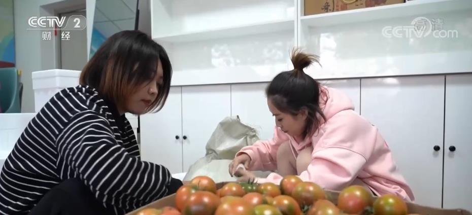 
北京儿童医院黄牛代挂号电话票贩子号贩子网上预约挂号,住院检查加快,铁皮西红柿成村民“致富果” 线上线下销售忙