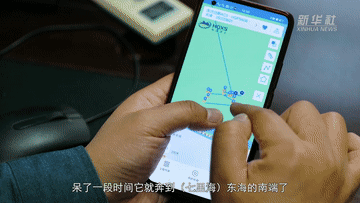 
北京朝阳医院黄牛代挂号电话票贩子号贩子网上预约挂号,住院检查加快,微纪录丨让候鸟重归自然