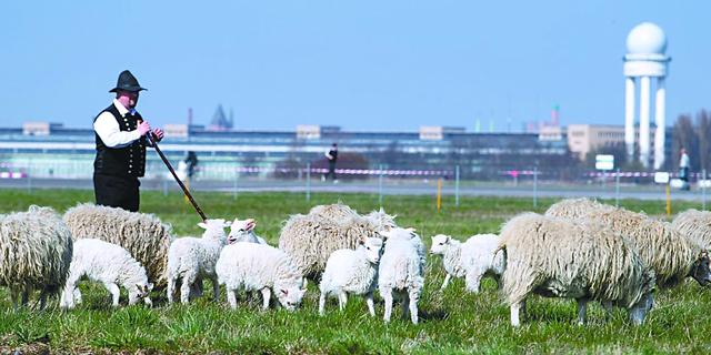
上海龙华医院黄牛代挂号电话票贩子号贩子网上预约挂号,住院检查加快,德国废弃机场变身牧场受欢迎
