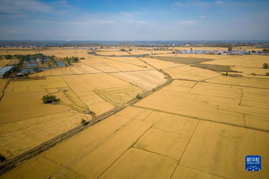 
南京脑科医院黄牛代挂号电话票贩子号贩子网上预约挂号,住院检查加快,新华全媒＋丨在金秋中收获希望——黑龙江“十九连丰”秋收扫描