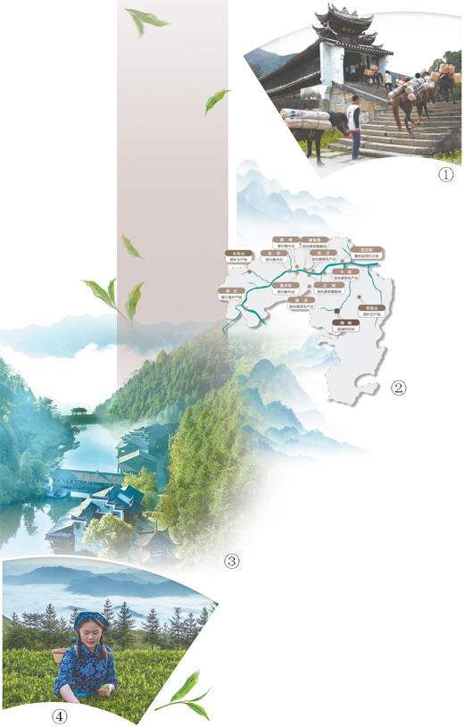 
首都医科大学附属安贞医院黄牛代挂号电话票贩子号贩子网上预约挂号,住院检查加快,安化 山重水复茶为径（城市味道·行走县城看中国）