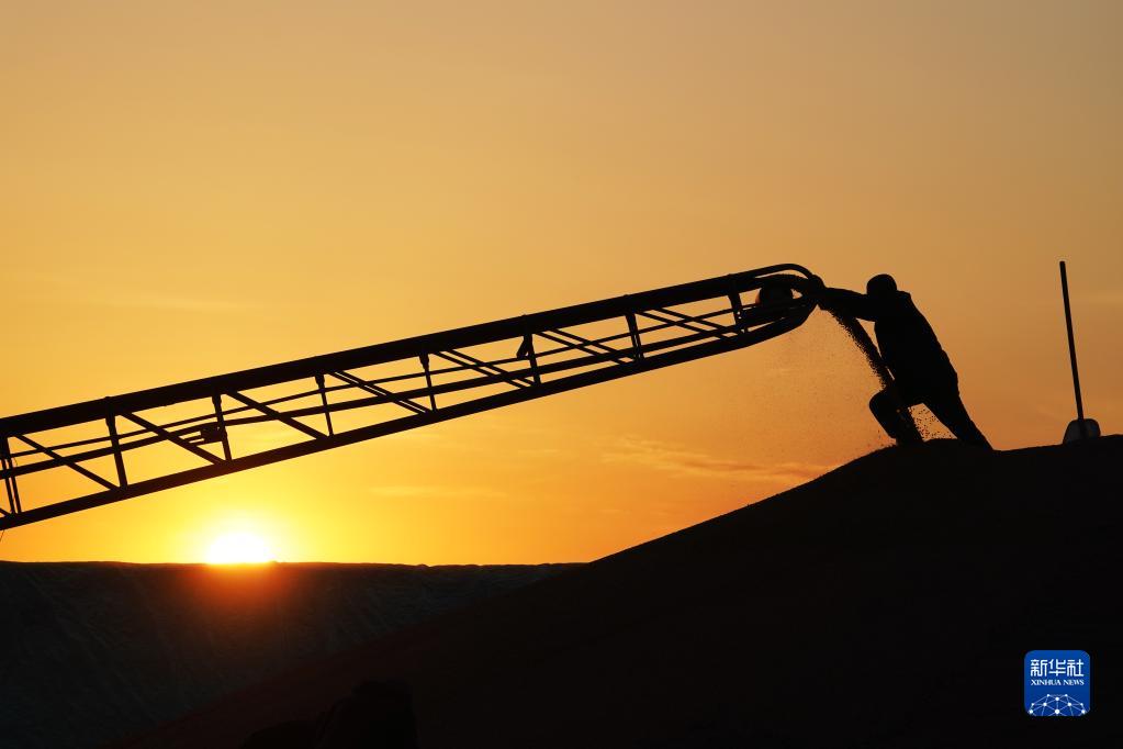 
南京脑科医院黄牛代挂号电话票贩子号贩子网上预约挂号,住院检查加快,新华全媒＋丨在金秋中收获希望——黑龙江“十九连丰”秋收扫描