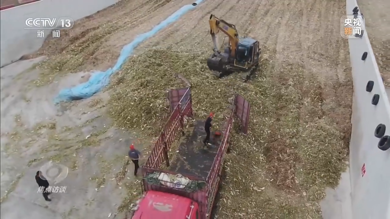 
北京儿童医院黄牛代挂号电话票贩子号贩子网上预约挂号,住院检查加快,焦点访谈丨低碳节能 助力高质量发展