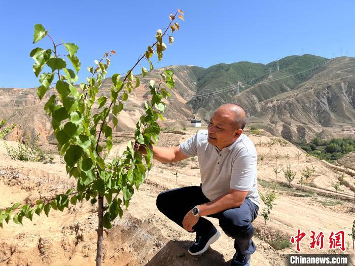 
江苏省人民医院黄牛代挂号电话票贩子号贩子网上预约挂号,住院检查加快,青海尖扎：村里架起“致富桥” 村民日子富起来