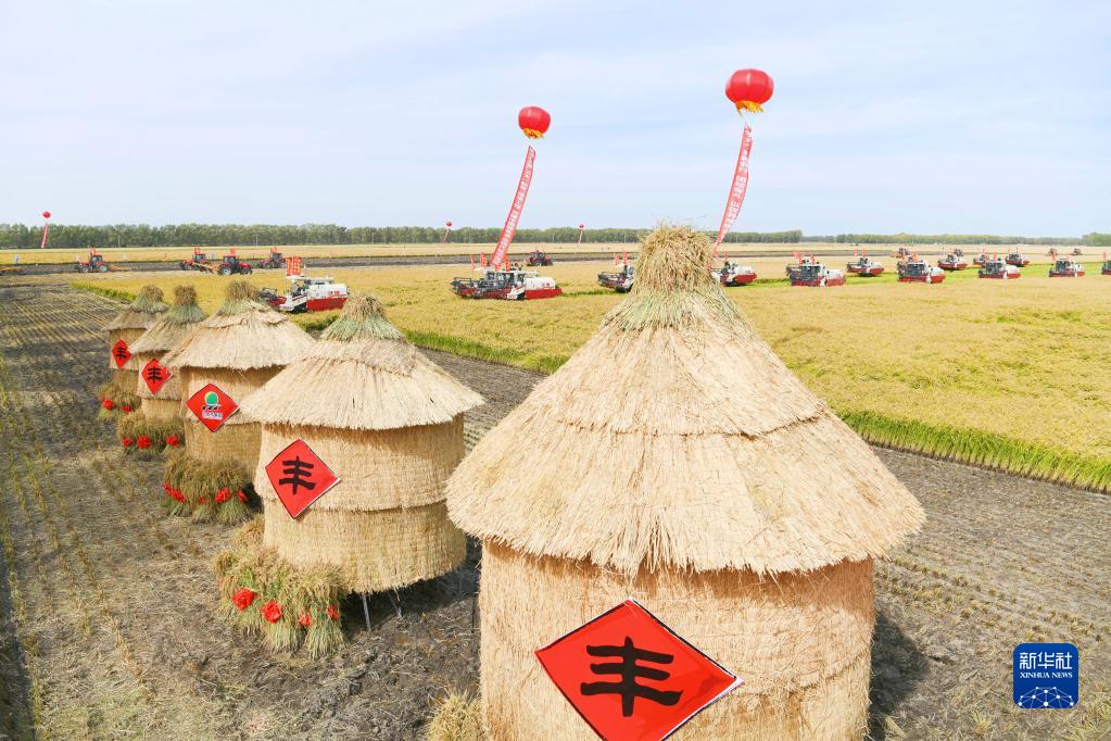 
南京脑科医院黄牛代挂号电话票贩子号贩子网上预约挂号,住院检查加快,新华全媒＋丨在金秋中收获希望——黑龙江“十九连丰”秋收扫描
