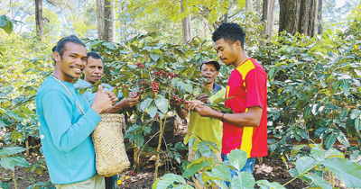 
南京鼓楼医院黄牛代挂号电话票贩子号贩子网上预约挂号,住院检查加快,“我们的日子越来越有盼头”（进博会故事）