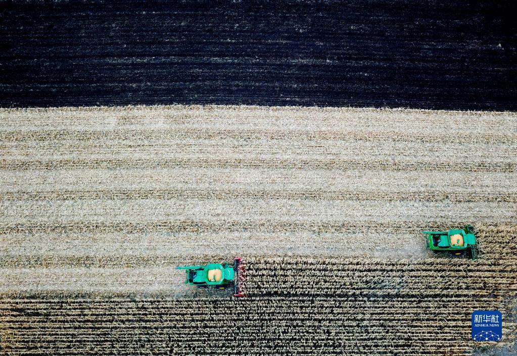 
南京脑科医院黄牛代挂号电话票贩子号贩子网上预约挂号,住院检查加快,新华全媒＋丨在金秋中收获希望——黑龙江“十九连丰”秋收扫描