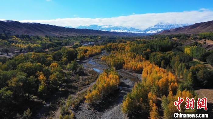 
浙江省人民医院黄牛代挂号电话票贩子号贩子网上预约挂号,住院检查加快,新疆塔西河谷生态修复产业兴 村民鼓起钱袋子
