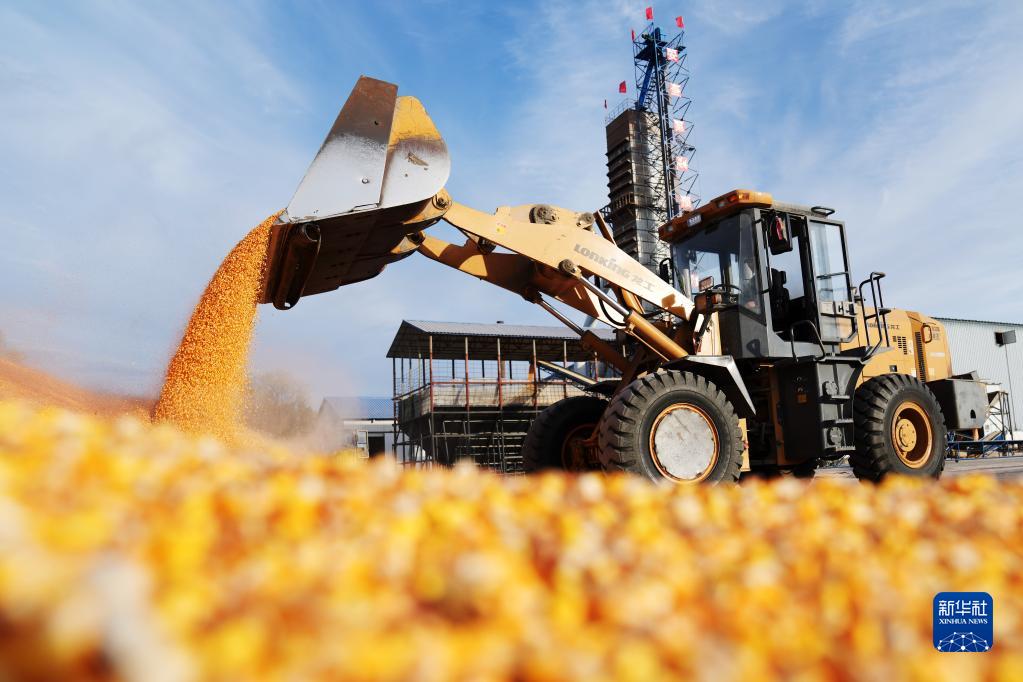 
南京脑科医院黄牛代挂号电话票贩子号贩子网上预约挂号,住院检查加快,新华全媒＋丨在金秋中收获希望——黑龙江“十九连丰”秋收扫描