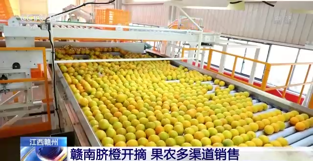 北京大学第六医院黄牛代挂号电话票贩子号贩子网上预约挂号,住院检查加快,硕果累累采摘忙 一起来看丰收的美景画卷→