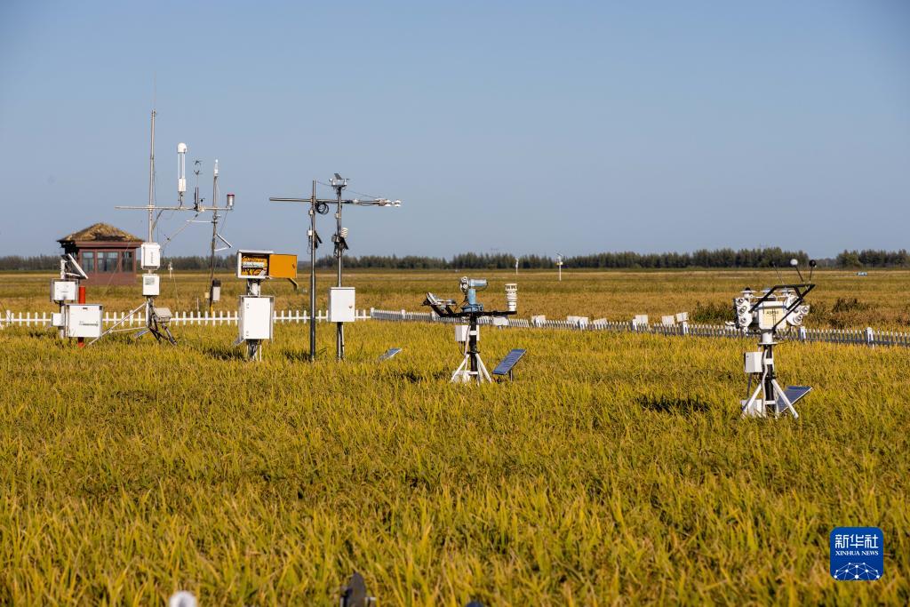 
南京脑科医院黄牛代挂号电话票贩子号贩子网上预约挂号,住院检查加快,新华全媒＋丨在金秋中收获希望——黑龙江“十九连丰”秋收扫描