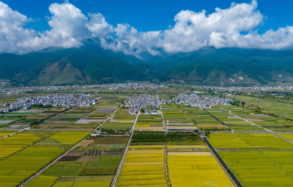 
北京西苑医院黄牛代挂号电话票贩子号贩子网上预约挂号,住院检查加快,特稿：站在人与自然和谐共生的高度谋划发展——国际社会高度评价中国生态文明建设