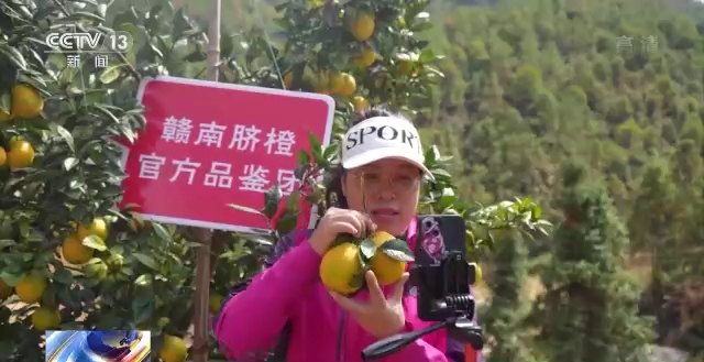 北京大学第六医院黄牛代挂号电话票贩子号贩子网上预约挂号,住院检查加快,硕果累累采摘忙 一起来看丰收的美景画卷→