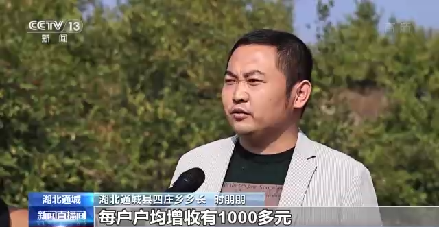 
中山一院黄牛代挂号电话票贩子号贩子网上预约挂号,住院检查加快,直播间开进果园！全国秋粮收获近尾声 各地多举措助农增收